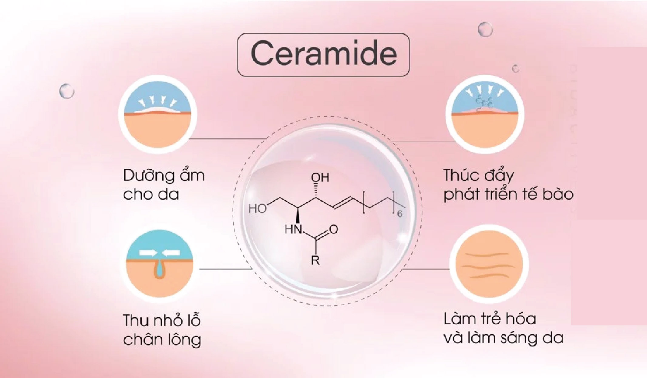 Vì sao bạn nên dùng Ceramide để có một làn da khỏe?