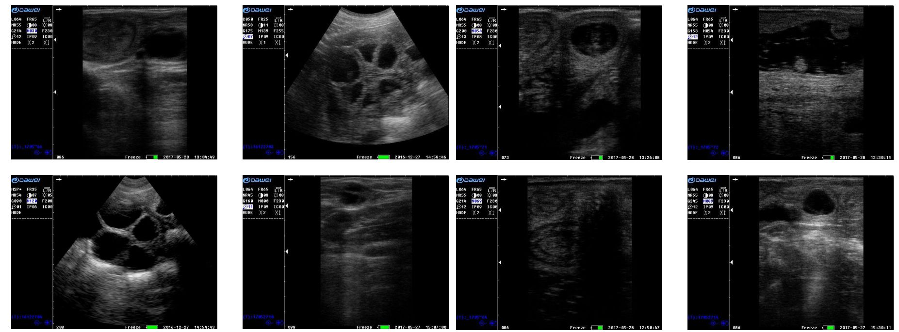 Máy siêu âm thú y cầm tay Dawei DW-VET5