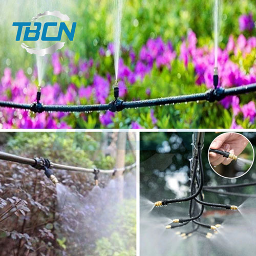 Phun sương và tưới cây