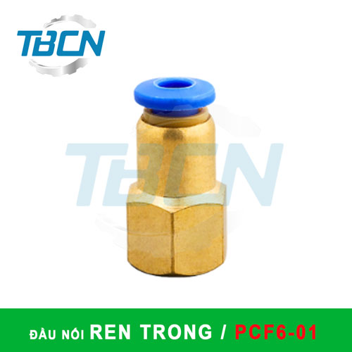 Đầu Nối Nhanh Khí Nén Ren Trong PCF6-01
