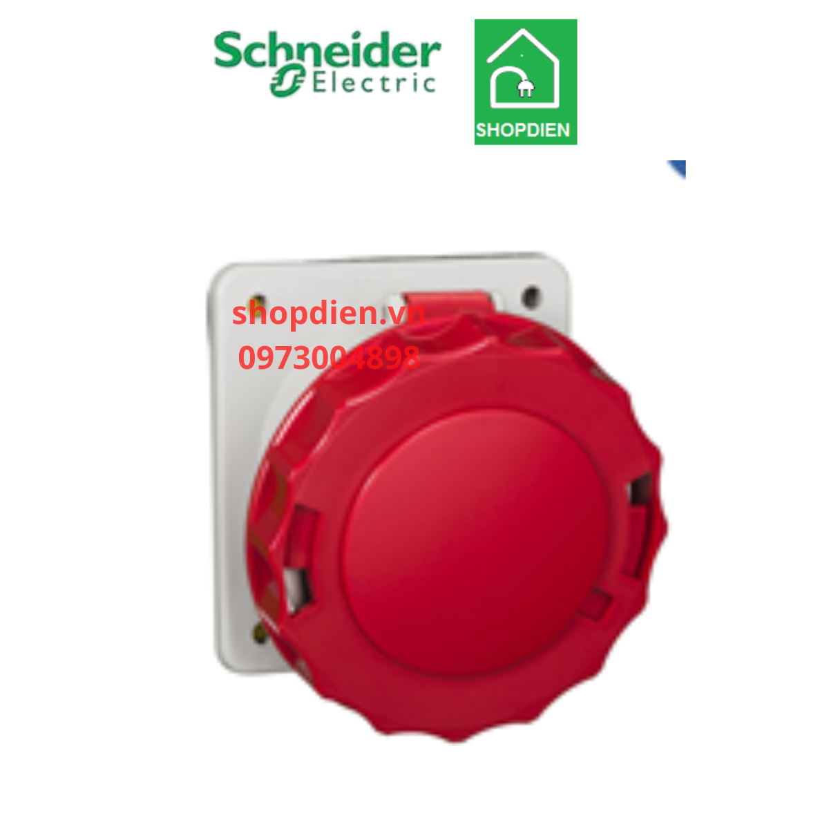 81295 Schneider Ổ cắm công nghiệp 5P 125A IP67 loại âm dạng nghiêng 4P ...