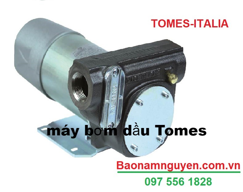 Máy Bơm Dầu 24V TOMES DETP0813 – 99L/phút | Dùng Bình Acquy Xe Tải | Nhập Khẩu Ý