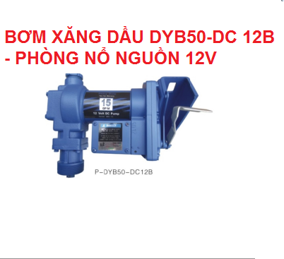 BƠM XĂNG DẦU DYB50-DC 12B