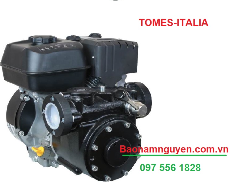 BƠM DẦU GẮN ĐẦU NỔ TOMES MOTOPUMP RP/ Code DMTP0010/ 318 Lp