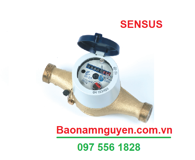 Đồng hồ nước Sensus 405S