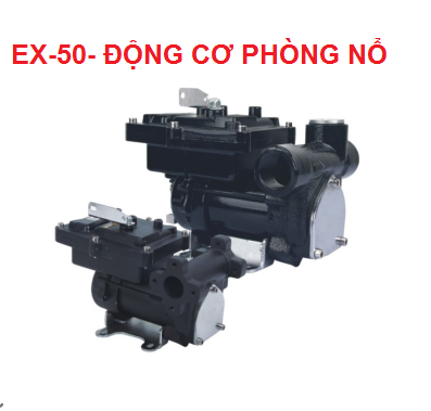BƠM XĂNG DẦU EX-50