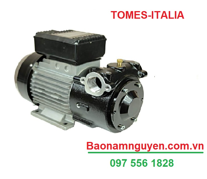 BƠM DẦU TOMES DETP0421 – Bơm Cánh Gạt 157 Lít/Phút | Áp Suất 4 Bar | Điện 230V | Nhập Khẩu Từ Ý