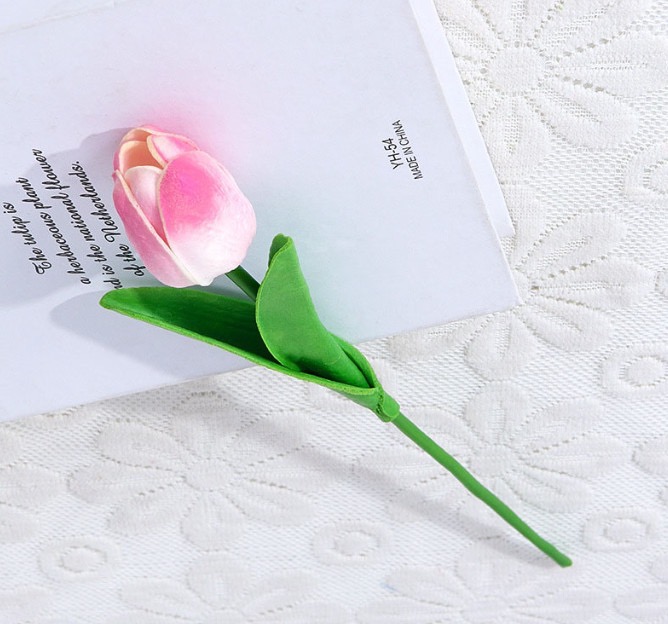 hoa-tulip-hong-phot