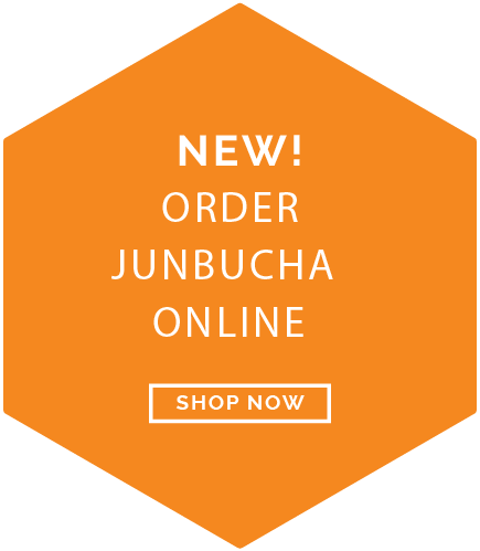 Jun kombucha