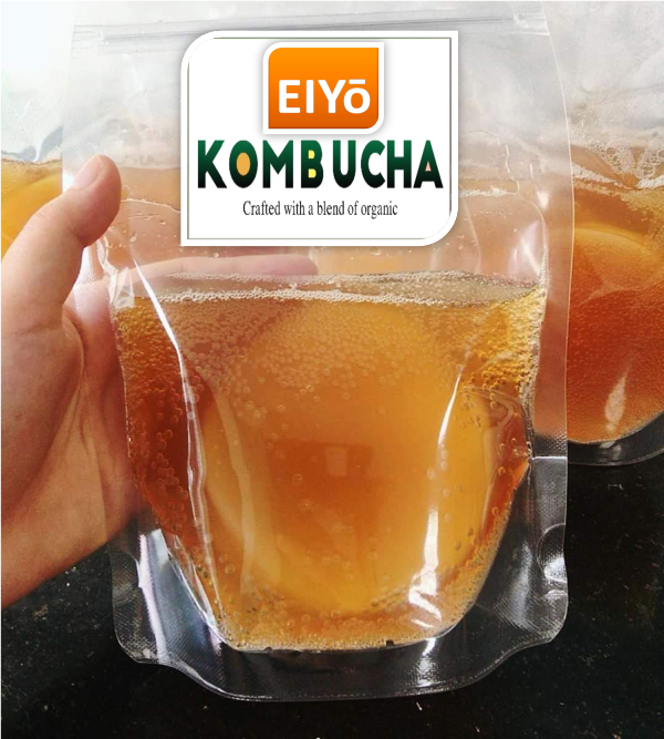 Scoby và Kombucha khởi động