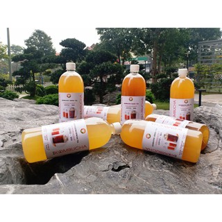 KOMBUCHA SENCHA TEA - HỮU CƠ/DÙNG CHO QUÁN CAFE (Nguyên Chất Thô - chuyên dùng cho pha chế )