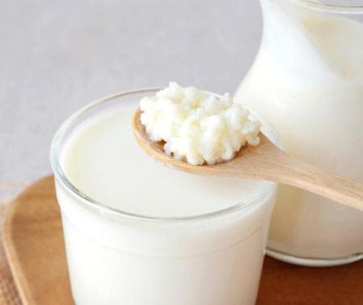 KEFIR YOGURT STARTER ORGANIC ( Hạt Sữa Chua Kefir khởi động)