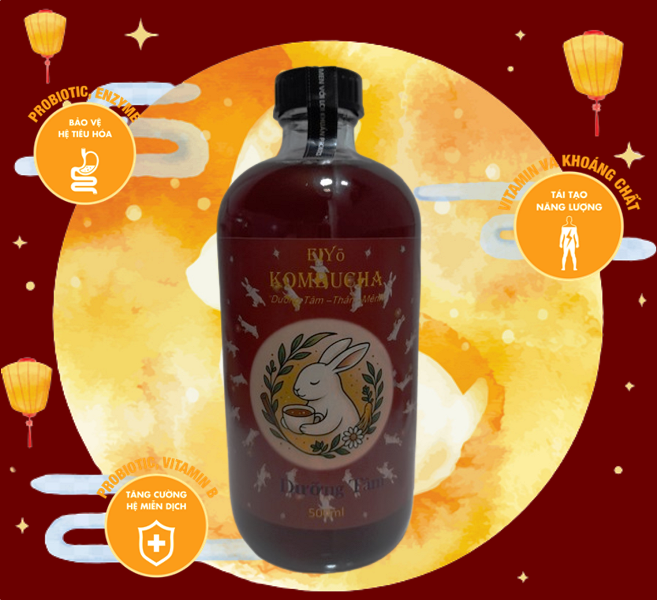 KOMBUCHA DƯỠNG TÂM – AN NHIÊN TỪNG NGỤM TRÀ