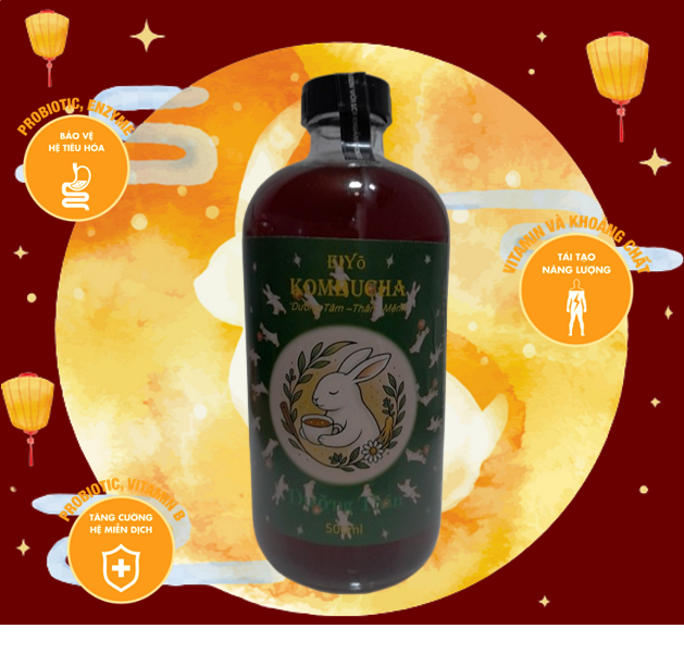 KOMBUCHA DƯỠNG THÂN – TRẺ KHỎE, NĂNG LƯỢNG