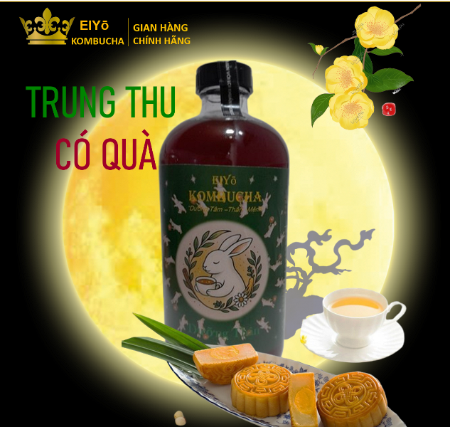 KOMBUCHA DƯỠNG THÂN – TRẺ KHỎE, NĂNG LƯỢNG
