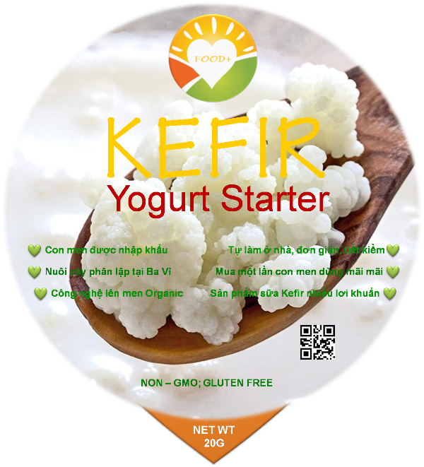 KEFIR YOGURT STARTER ORGANIC ( Hạt Sữa Chua Kefir khởi động)