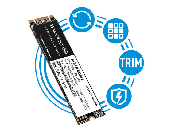 Ổ cứng SSD TEAM MS30 M.2 3