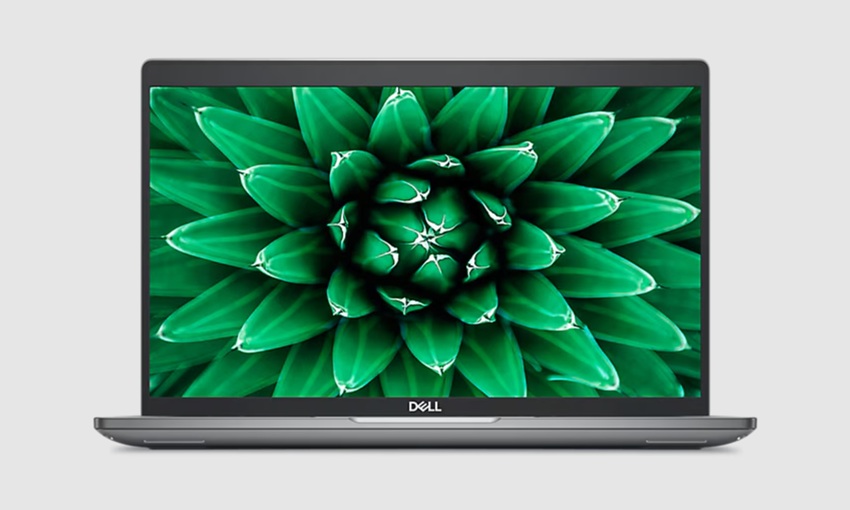 Dell Precision 3590 - màn hình