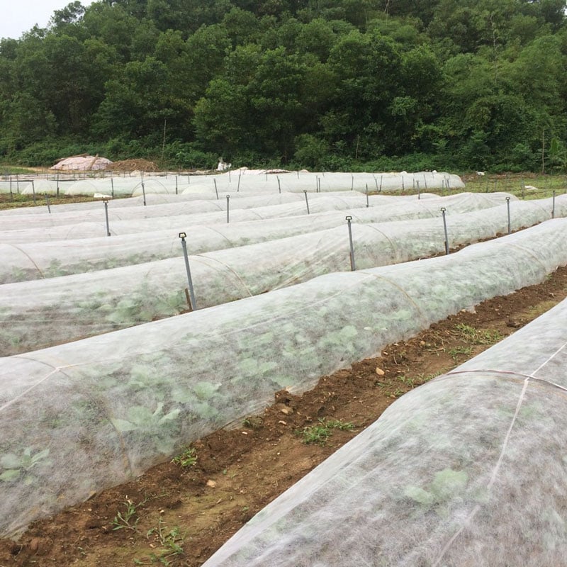 non-woven-fabric-la-gi-ung-dung-trong-thuc-te