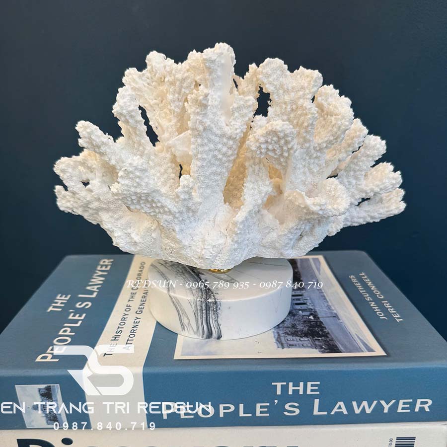 do-trang-tri-nghe-thuat-phong-ngu-phong-khach-ban-lam-viec-hinh-san-ho-ddc-zg013