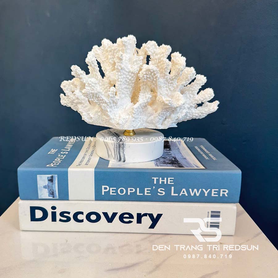 Đồ Trang Trí Nghệ Thuật Phòng Ngủ, Phòng Khách, Bàn Làm Việc Hình San Hô DDC-ZG013