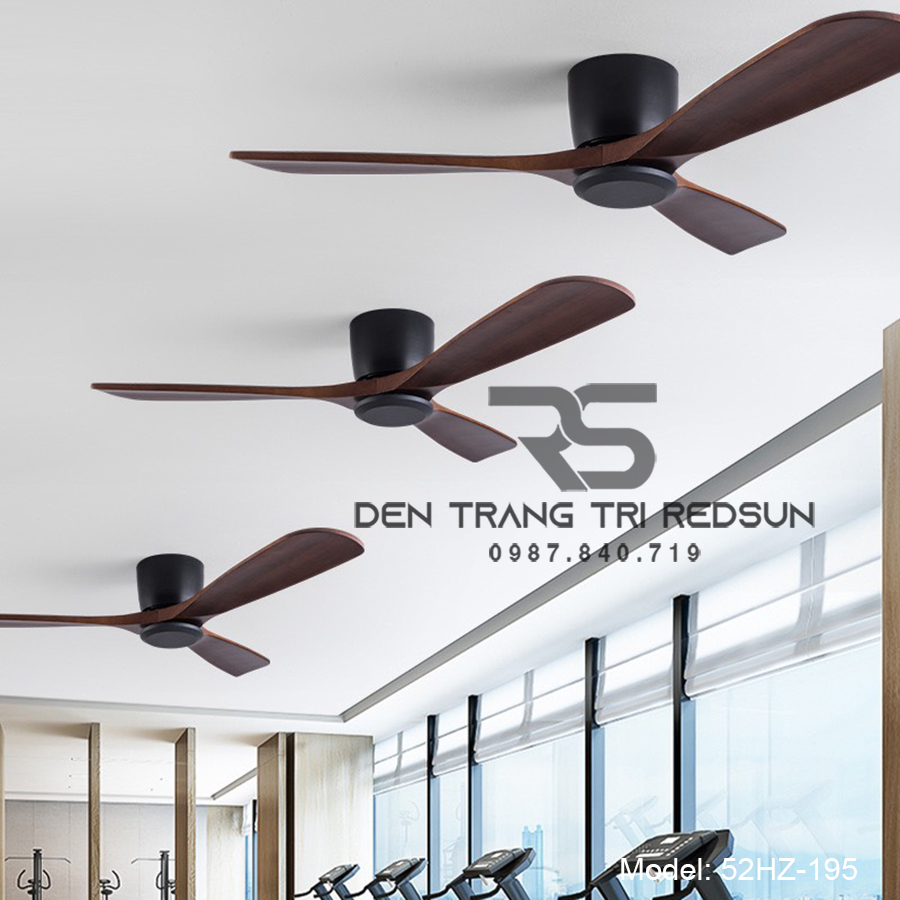 Quạt Trần Trang Trí Phòng Khách, Phòng Ngủ - 52HZ-195