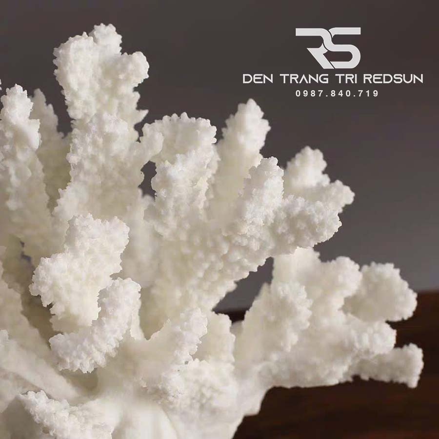 Đồ Trang Trí Nghệ Thuật Phòng Ngủ, Phòng Khách, Bàn Làm Việc Hình San Hô DDC-ZG013