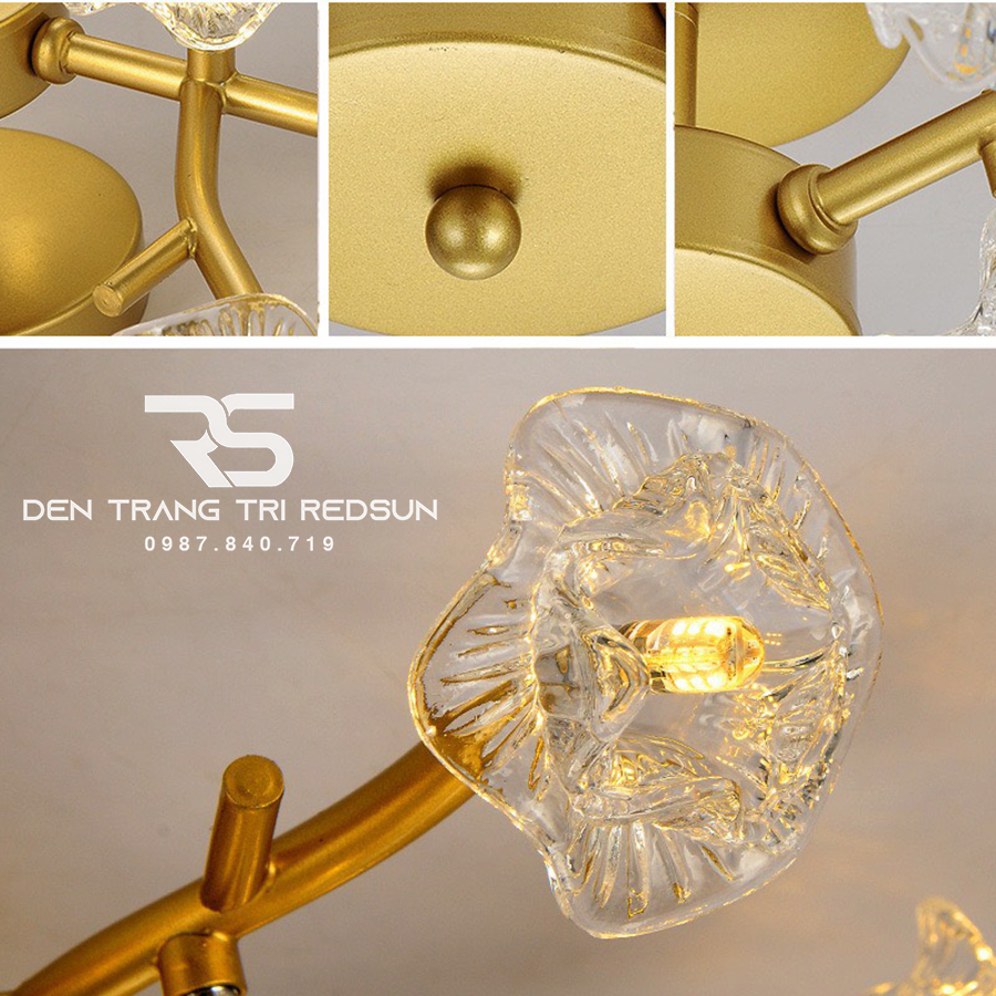 Đèn Ốp Trần Hiện Đại Phong Cách Bắc Âu Hoa Mai D982