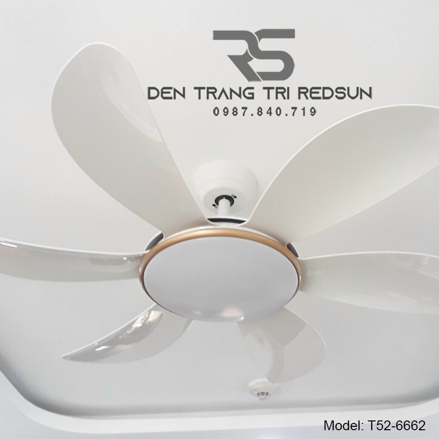 Quạt Trần Đèn Trang Trí Phòng Khách, Phòng Ngủ - T52-6662