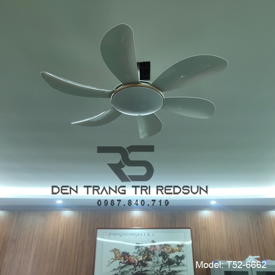 Quạt Trần Đèn Trang Trí Phòng Khách, Phòng Ngủ - T52-6662