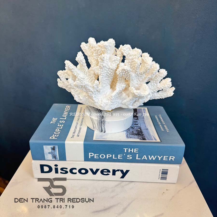 Đồ Trang Trí Nghệ Thuật Phòng Ngủ, Phòng Khách, Bàn Làm Việc Hình San Hô DDC-ZG013