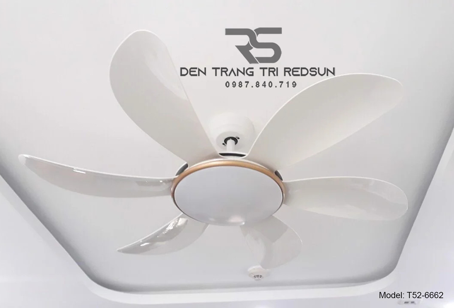 Quạt Trần Đèn Trang Trí Phòng Khách, Phòng Ngủ - T52-6662