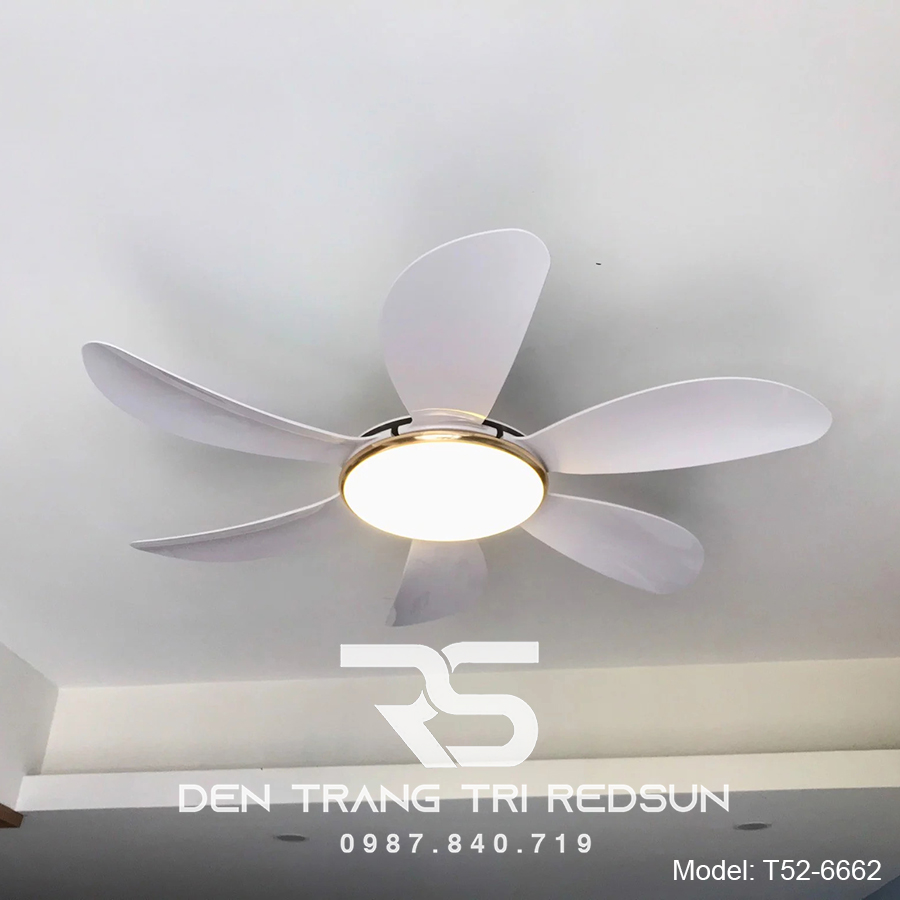 Quạt Trần Đèn Trang Trí Phòng Khách, Phòng Ngủ - T52-6662