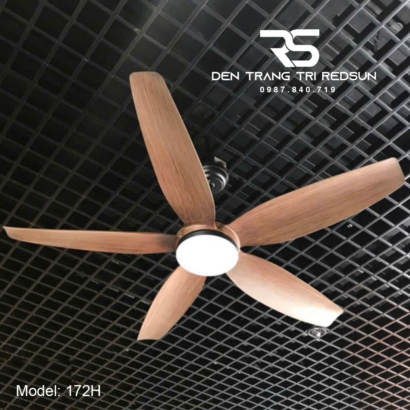 Quạt Trần Đèn Trang Trí Phòng Khách, Phòng Ngủ - 172H