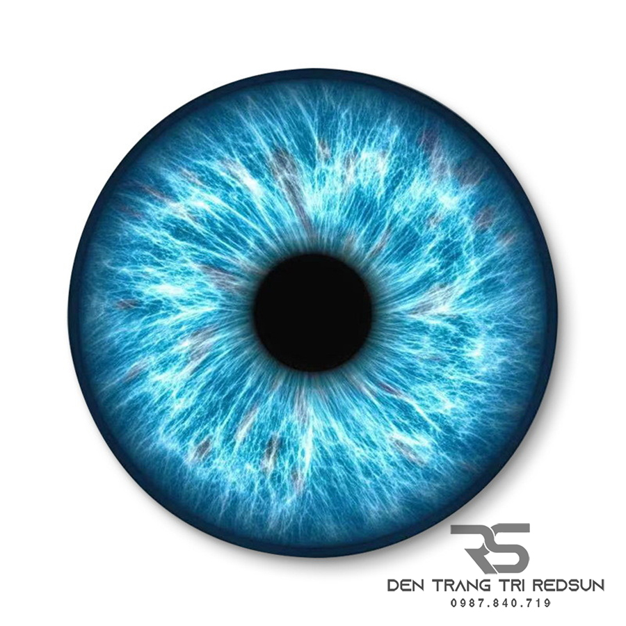 Tranh Treo Tường Thủ Công Trang Trí Phòng Khách, Phòng Ngủ, Hành Lang Phong Cách Trừu Tượng Hiện Đại DDC-025