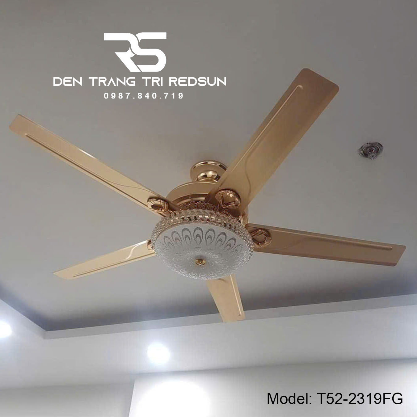Quạt Trần Đèn Trang Trí Phòng Khách, Phòng Ngủ - T52-2319FG
