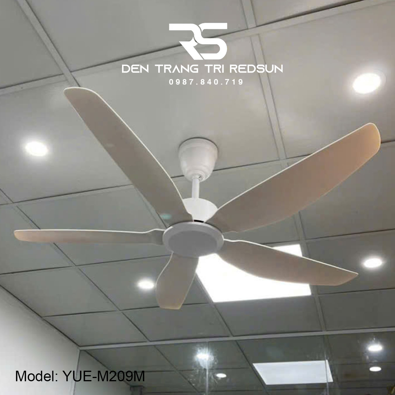 Quạt Trần Trang Trí Phòng Khách, Phòng Ngủ - YUE-M209M