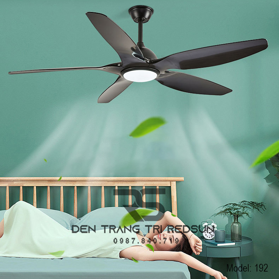 Quạt Trần Đèn Trang Trí Phòng Khách, Phòng Ngủ - 192