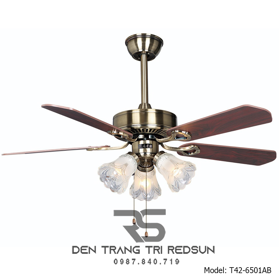 Quạt Trần Đèn Trang Trí Phòng Khách, Phòng Ngủ - T42-6501AB
