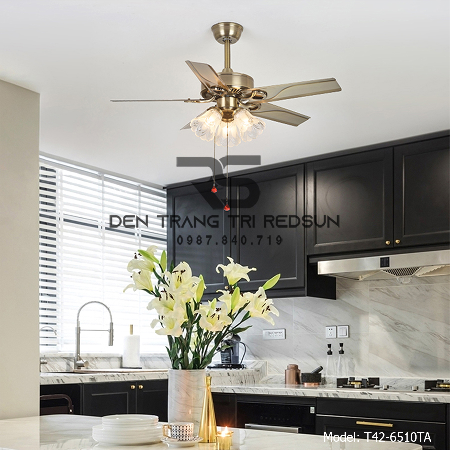 Quạt Trần Đèn Trang Trí Phòng Khách, Phòng Ngủ - T42-6501TA