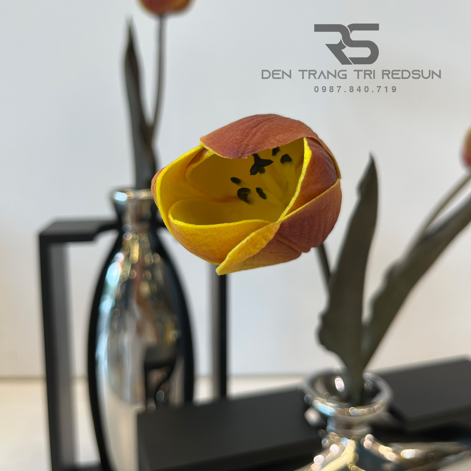 Bình Hoa Nghệ Thuật Chất Liệu Thủy Tinh Trang Trí Phòng Khách, Phòng Ngủ, Phòng Ăn Phong Cách Bắc Âu DDC-009