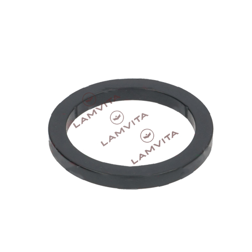 Vòng đệm đầu pha máy pha cà phê LAMVITA (gasket group head)