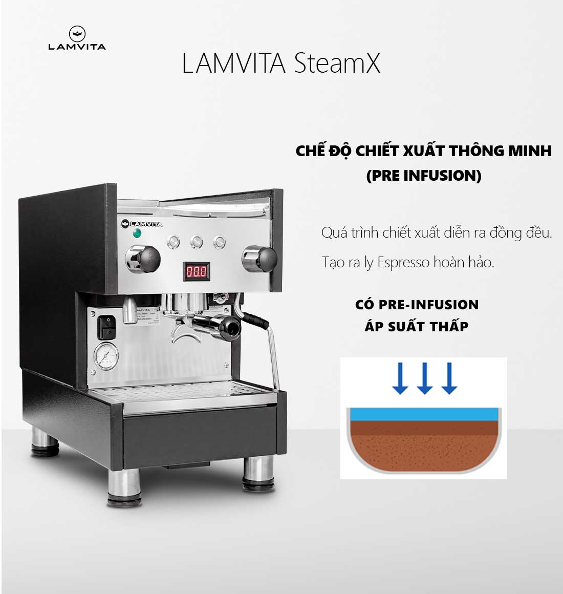 LAMVITA SteamX
