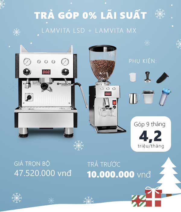 Combo LAMVITA LSD & LAMVITA MX