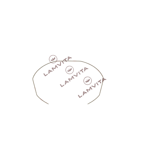 Phe giữ lọc tay pha