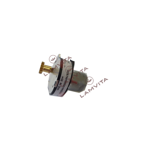 SAECO ASSIEME MOTORIDUTTORE SAIA 1:50