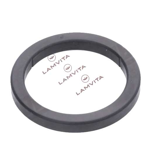 Vòng đệm đầu pha máy pha cà phê LAMVITA (gasket group head)