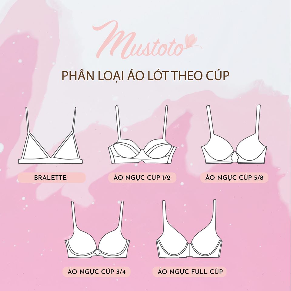 Phân loại áo lót theo cup