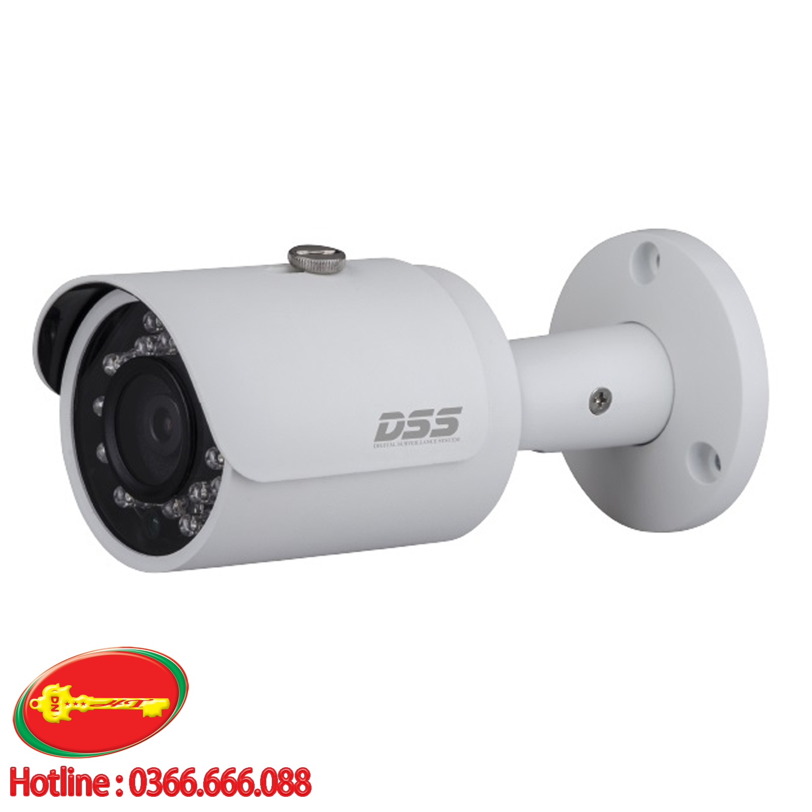 Camera IP Dahua DSS DS2230FIP (2.0 Megapixel)