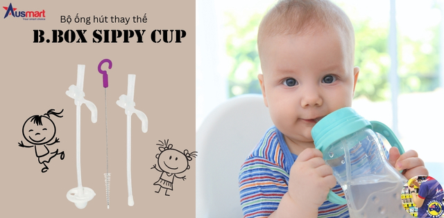 Bộ ống hút thay thế bình nước B.Box Sippy Cup Replacement Straw